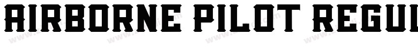 Airborne Pilot Regul字体转换